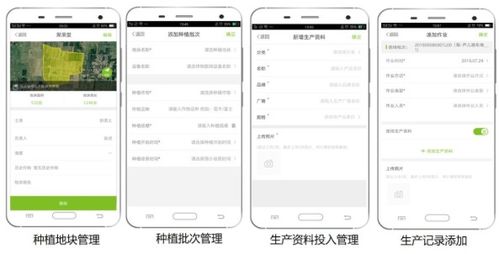 大田智慧农业投资1.28亿元数字化服务，推动农产品安全生产与数字内容制作